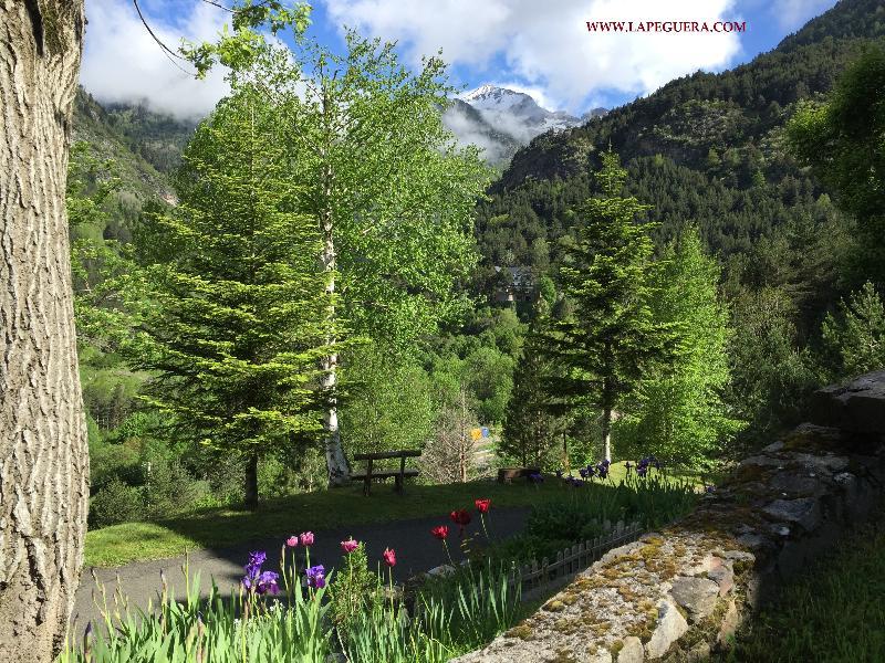 Apartaments La Peguera Бой Экстерьер фото